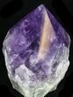 Polished Amethyst Crystal Point - Brazil #34736-2